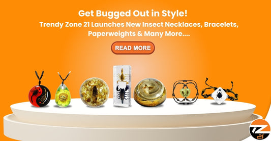 https://trendyzone21.com/collections/real-insects