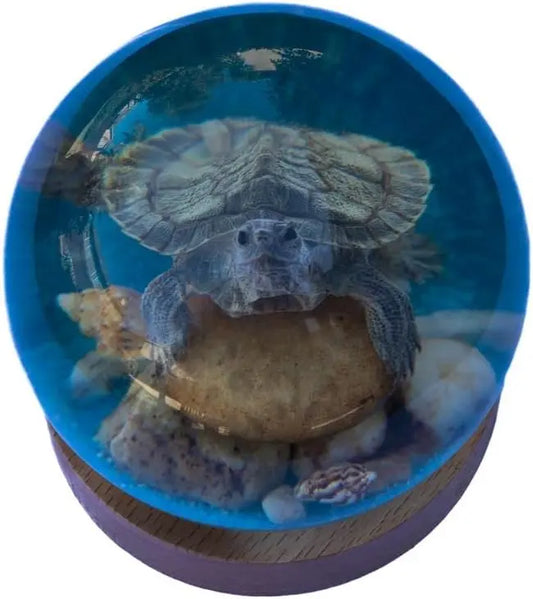Green Turtle Globe Trendy Zone 21