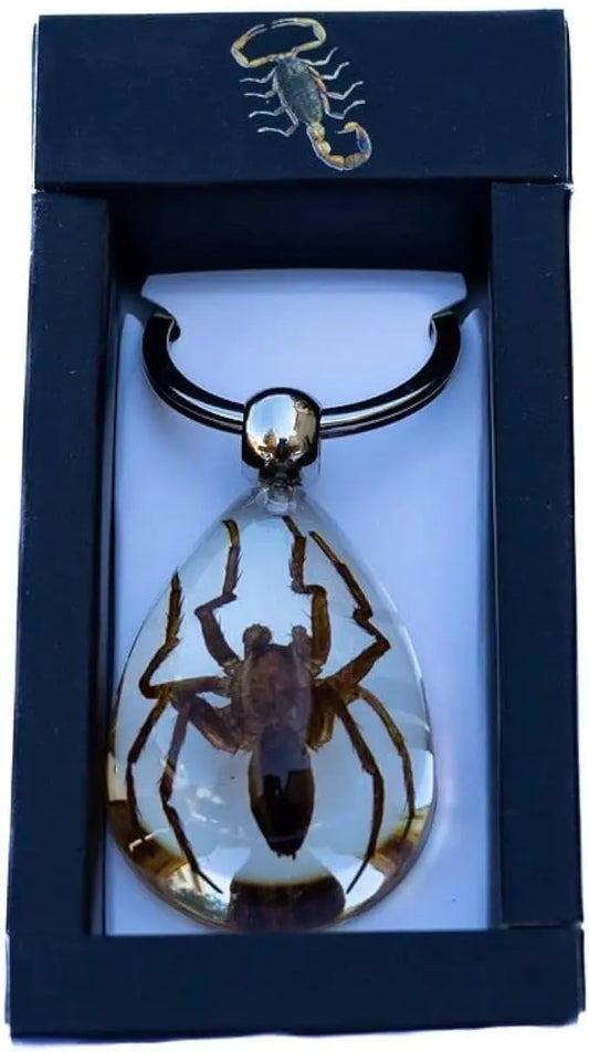 Brown Spider Clear Keychain Trendy Zone 21