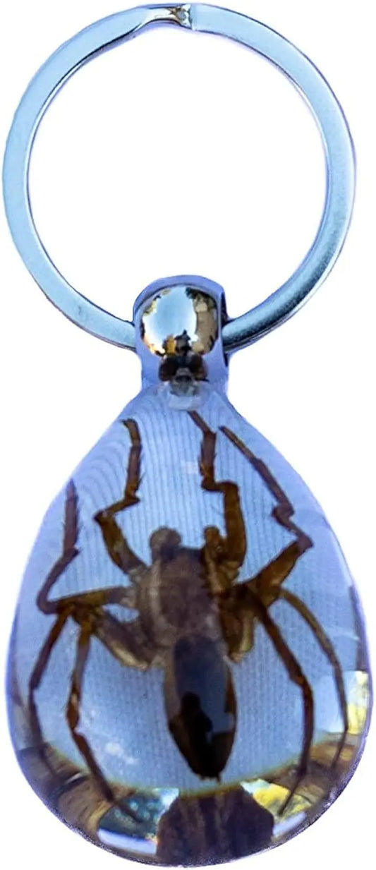 Brown Spider Clear Keychain Trendy Zone 21