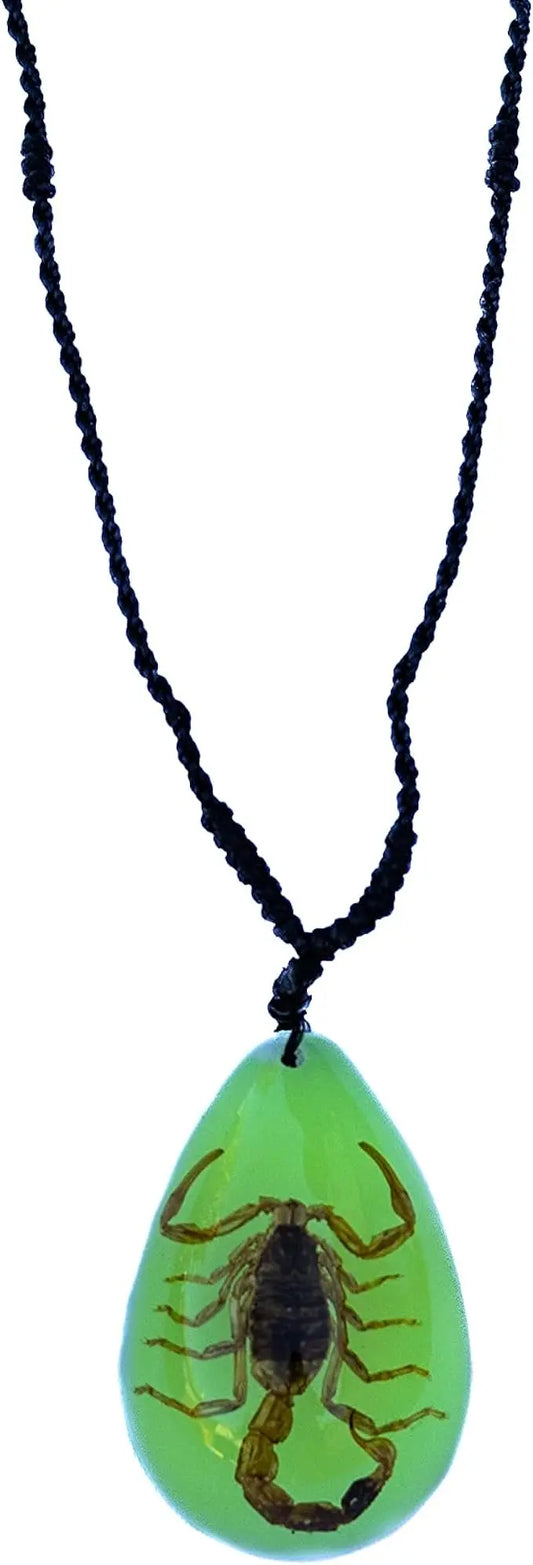 Real Insect Brown Scorpion Acrylic Necklace Trendy Zone 21
