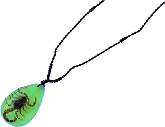 Real Insect Brown Scorpion Acrylic Necklace Trendy Zone 21