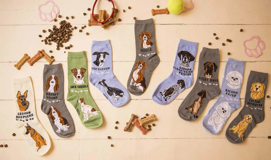buy fun socks online