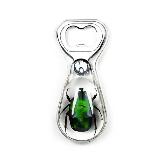 Green Chafer Beetle Bottle Opener Trendy Zone 21