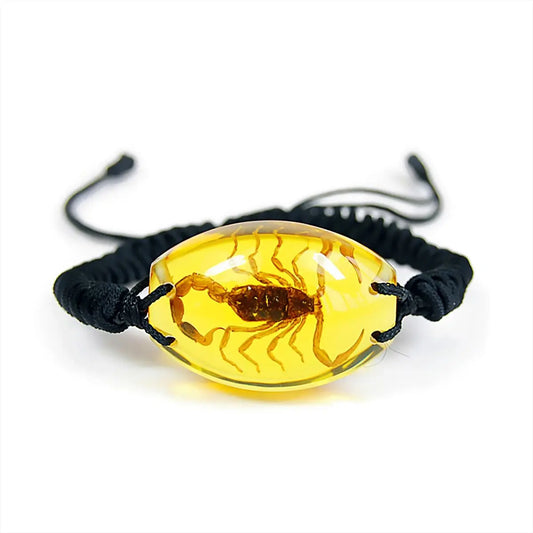 Real Insect Brown Scorpion Bracelet Trendy Zone 21