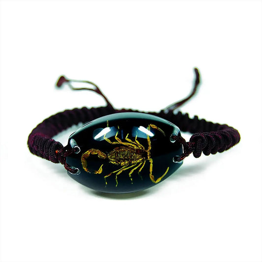 Real Insect Brown Scorpion Bracelet Trendy Zone 21