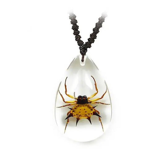 Spiny Spider Necklace Trendy Zone 21