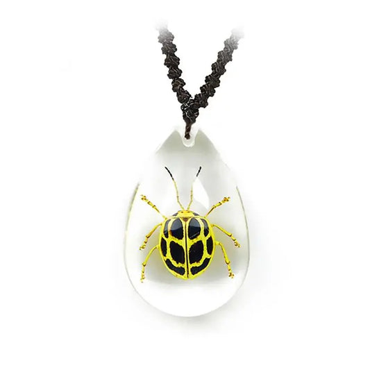 Spotted Leaf Beetle Necklace Trendy Zone 21