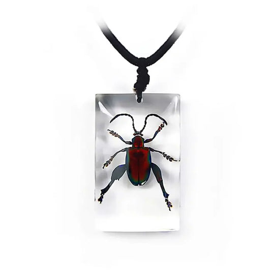 Jewel Frog Beetle Necklace Trendy Zone 21