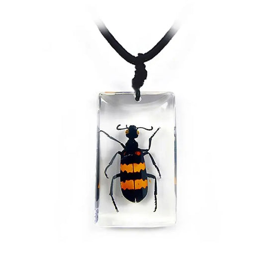 Blister Beetle Necklace Trendy Zone 21