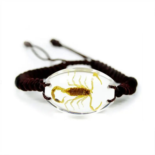 Brown Scorpion Bracelet Trendy Zone 21