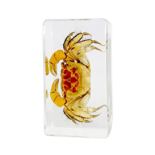 Crab Paperweight Trendy Zone 21