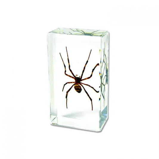 Spider Paperweight Trendy Zone 21