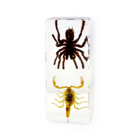 Tarantula & Scorpion Paperweight (Large)