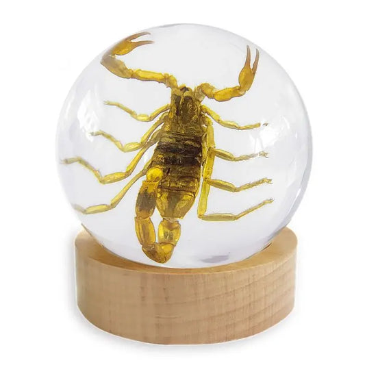 Scorpion Globe Decoration Trendy Zone 21