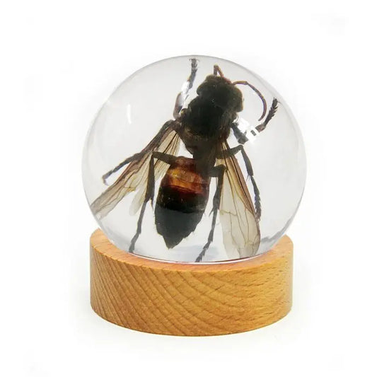 Wasp Desktop Decorations Trendy Zone 21