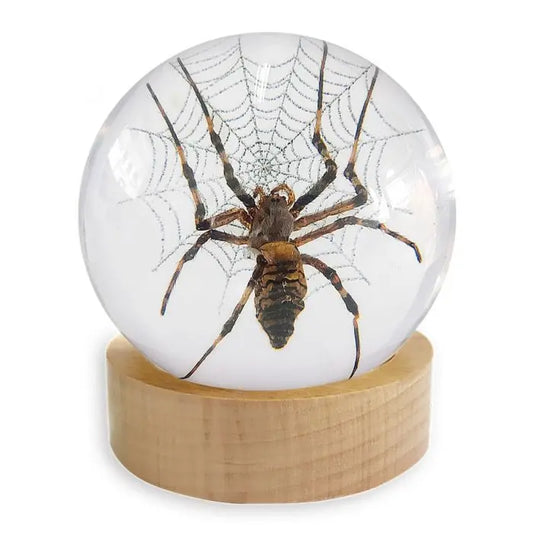 Spider Globe Decoration Trendy Zone 21