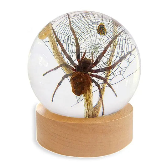Spider Globe Decoration Trendy Zone 21
