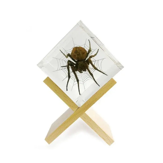Spider Desktop Decorations Trendy Zone 21