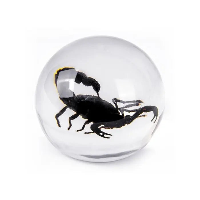 Black Scorpion Globe Decoration