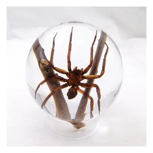 Spider Globe Desk Decoration with Stand Trendy Zone 21