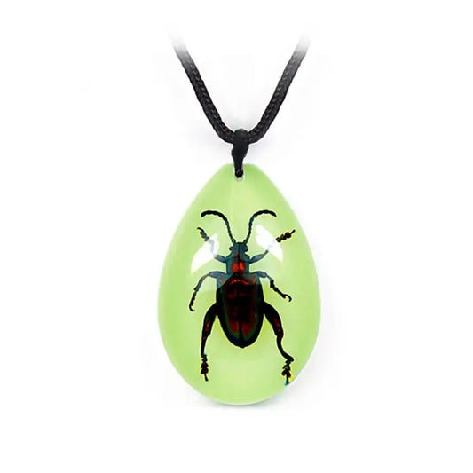 Jewel Frog Beetle Necklace (Glows-In-The-Dark) Trendy Zone 21