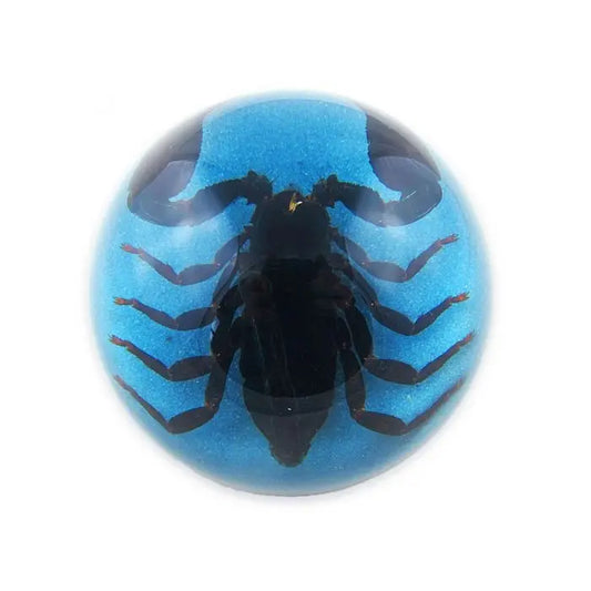 Black Scorpion Half-dome Paperweight (Blue) Trendy Zone 21