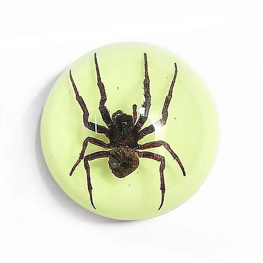 Spider Half-dome Paperweight (Glows-In-The-Dark) Trendy Zone 21