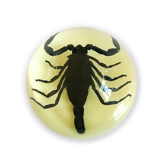 Black Scorpion Half-dome Paperweight (Glows-In-The-Dark) Trendy Zone 21