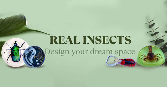 Real Insects Wine bottle openers