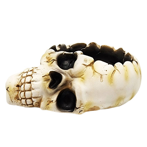 Open Skull Ashtray – 6 Inch Gothic Skull Ashtray