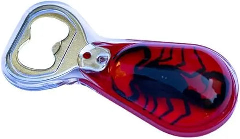 Black Scorpion Red Bottle Opener Trendy Zone 21