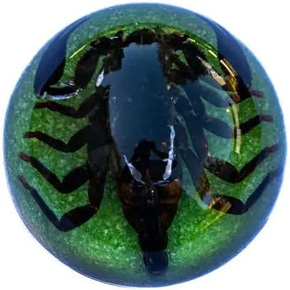 Dark Brown Scorpion Paperweight Trendy Zone 21