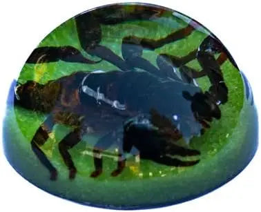 Dark Brown Scorpion Paperweight Trendy Zone 21