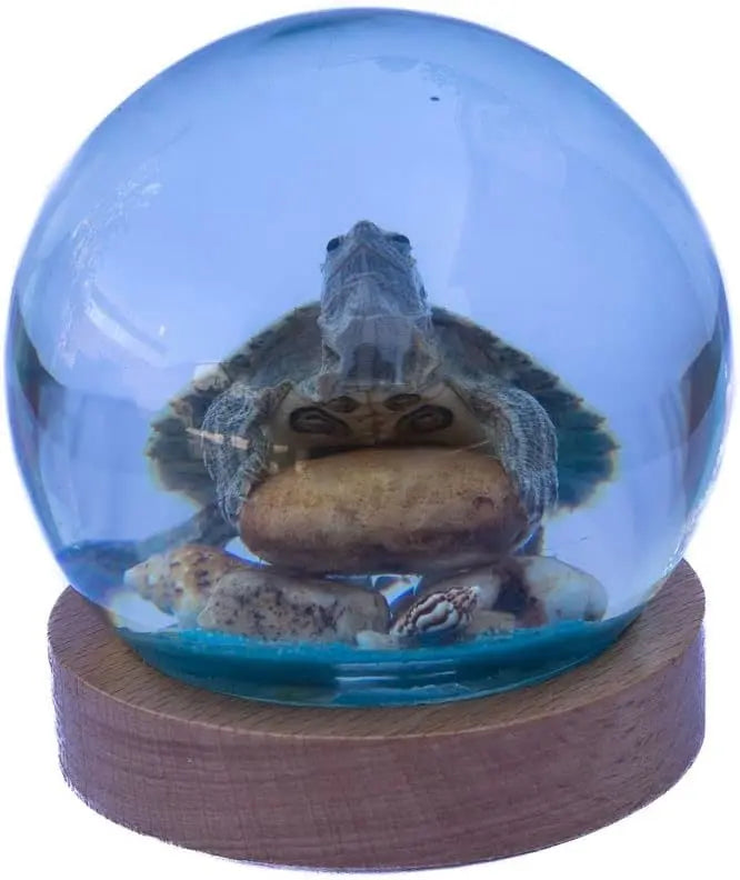 Green Turtle Globe Trendy Zone 21