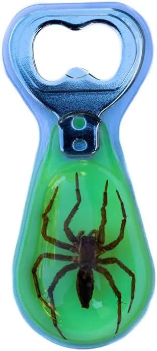 Spider Glow in the Dark Bottle Opener Trendy Zone 21