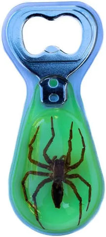 Spider Glow in the Dark Bottle Opener Trendy Zone 21