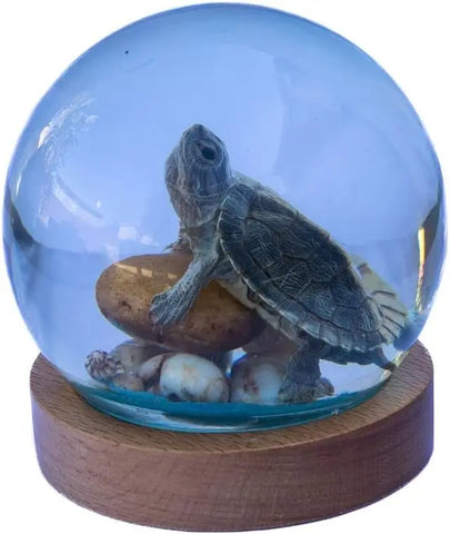 Green Turtle Globe Trendy Zone 21