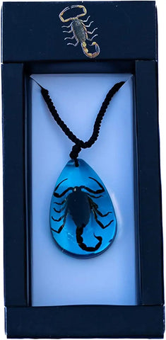 Real Insect Brown Scorpion Blue Acrylic Necklace Trendy Zone 21