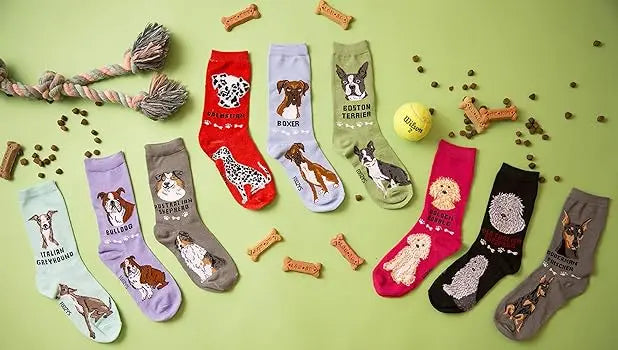 buy novelty socks online