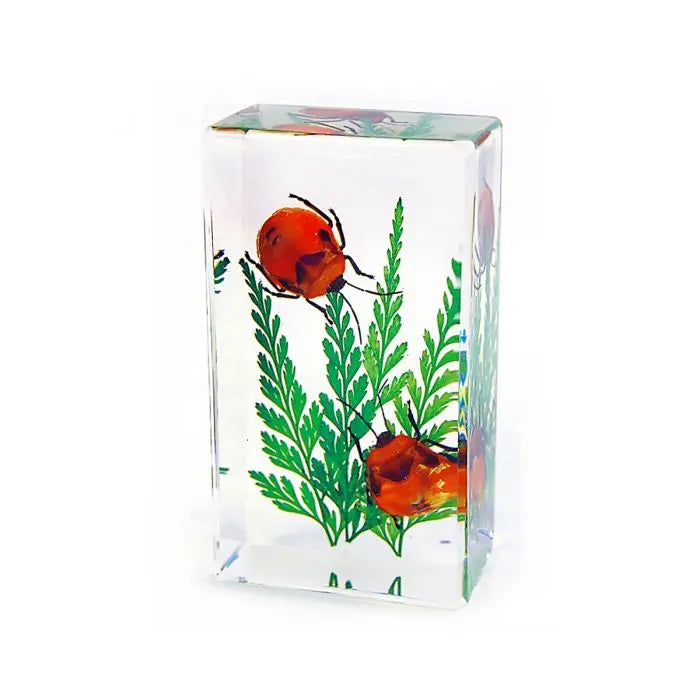 Crystal Clear Flower Bug Paperweight Trendy Zone 21