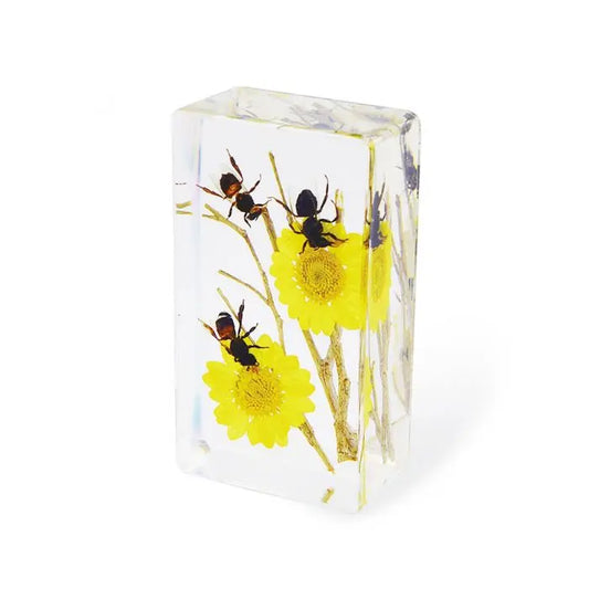 Crystal Clear Honeybee Paperweight Trendy Zone 21