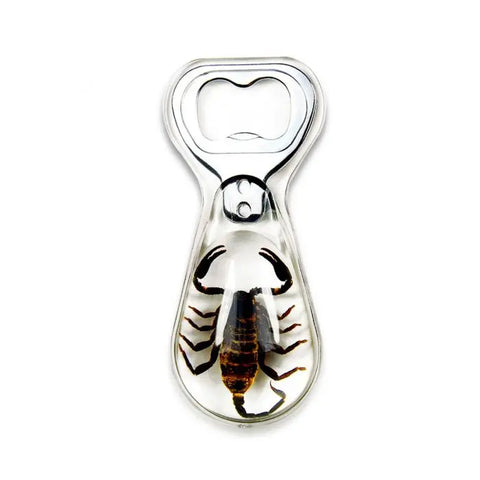 Black Scorpion Bottle Opener Trendy Zone 21