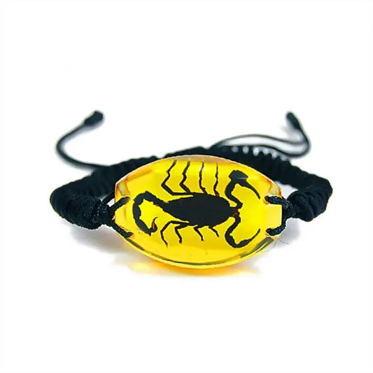 Real Insect Black Scorpion Bracelet Trendy Zone 21