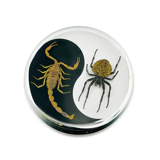 Crystal Clear Scorpion & Spider Paperweight Trendy Zone 21