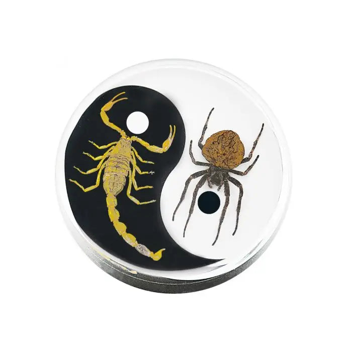 Crystal Clear Scorpion & Spider Paperweight Trendy Zone 21