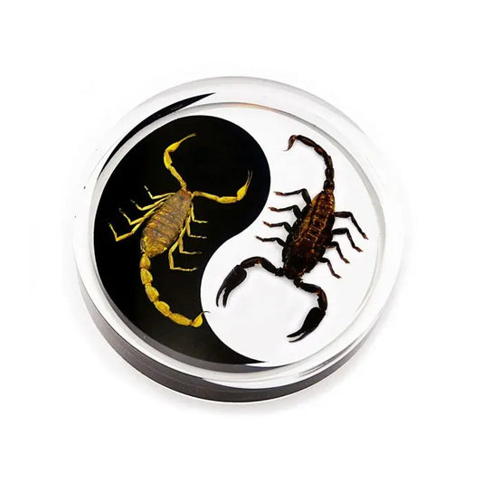 Crystal Clear Scorpion Yin-Yang Paperweight Trendy Zone 21