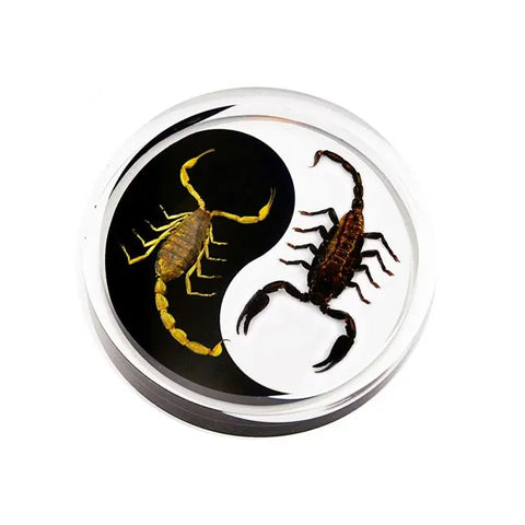 Crystal Clear Scorpion Yin-Yang Paperweight Trendy Zone 21