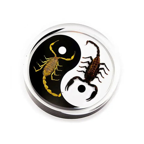 Crystal Clear Scorpion Yin-Yang Paperweight Trendy Zone 21