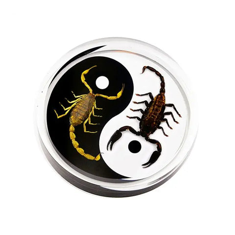 Crystal Clear Scorpion Yin-Yang Paperweight Trendy Zone 21